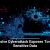 Cybersecurity Essentials for Every Business Owner